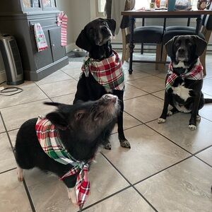 Meet your Posher, Jenny